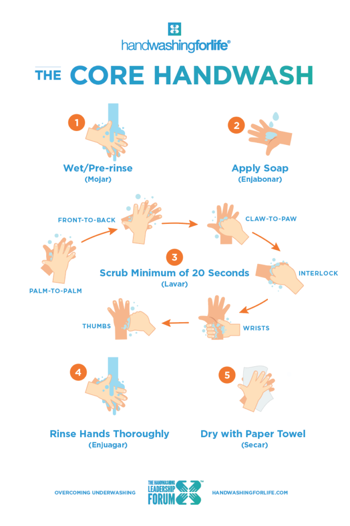 WashToCare: The importance of hand washing