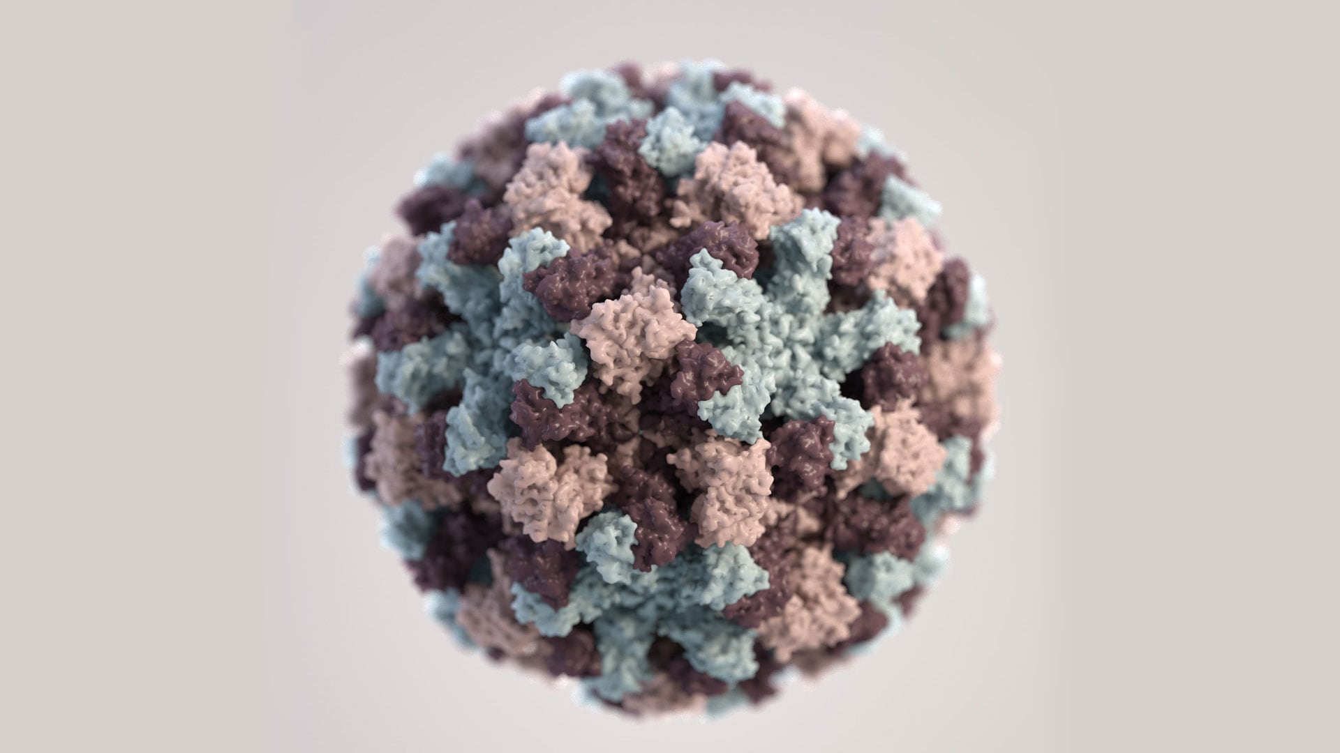 Salmonella in the caribbean: case study answers picture