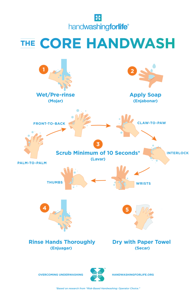 The Core Handwash poster showing the steps for a complete hand washing.